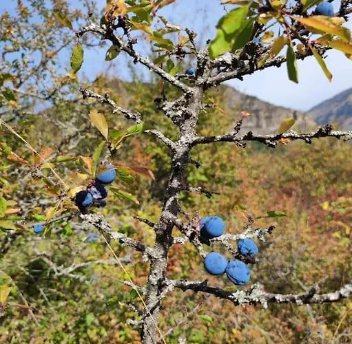 La Casa De Ra - Tucasaenlospirineos *